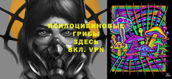шишки Абдулино