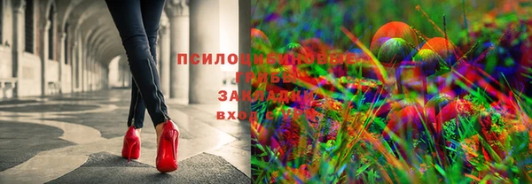 шишки Абдулино