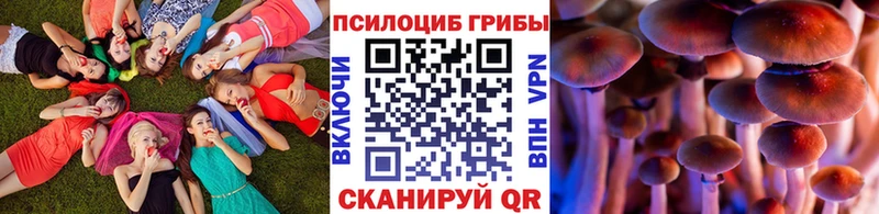 гидра сайт Горбатов Псилоцибиновые грибы Psilocybe купить закладку